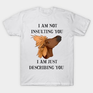 Cheeky Pony ~ describing you T-Shirt